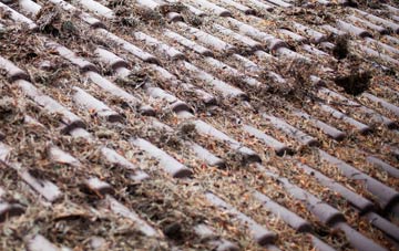 Carnagh roof cleaning companies