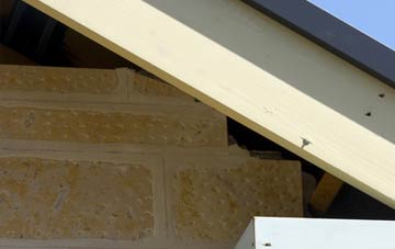 soffit repair Carnagh